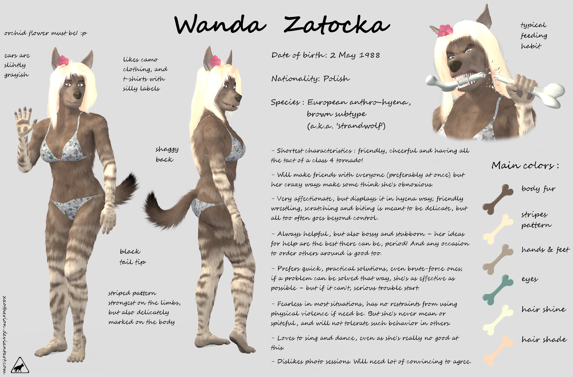 Wanda Reference Sheet