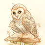 Witta The Owl