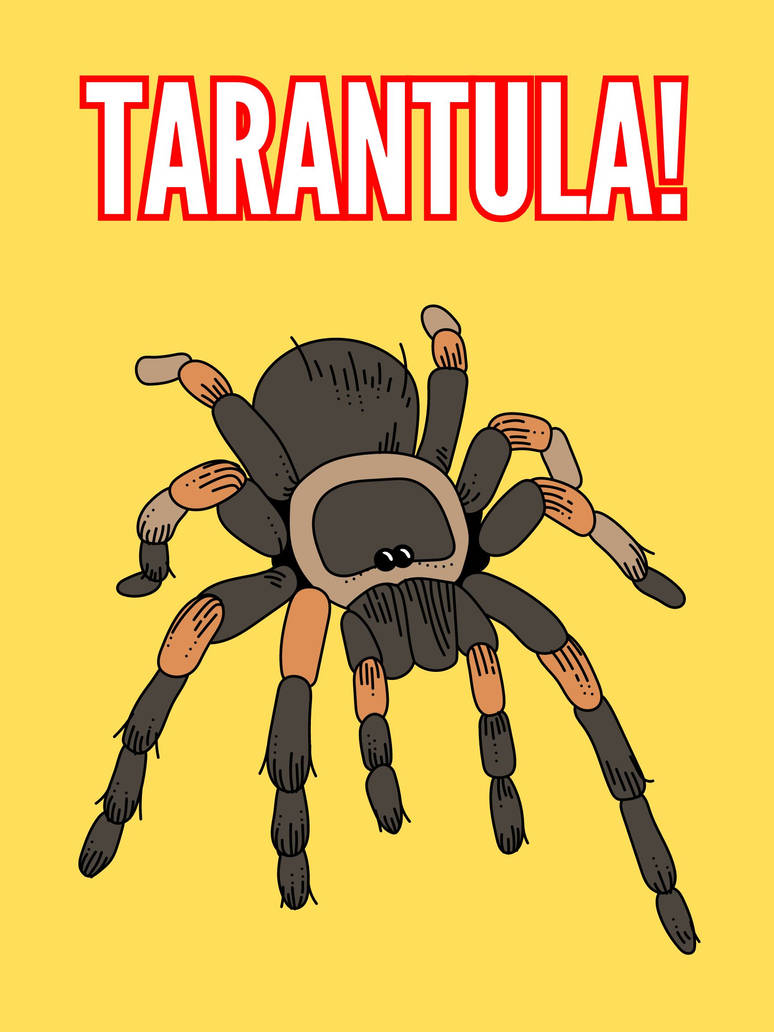 Tarantula Deviantart TARANTULA! by Owlicious396 on DeviantArt