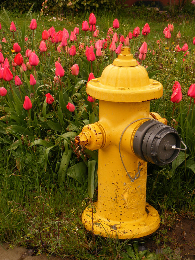 Spring hydrant by kritic2 on DeviantArt
