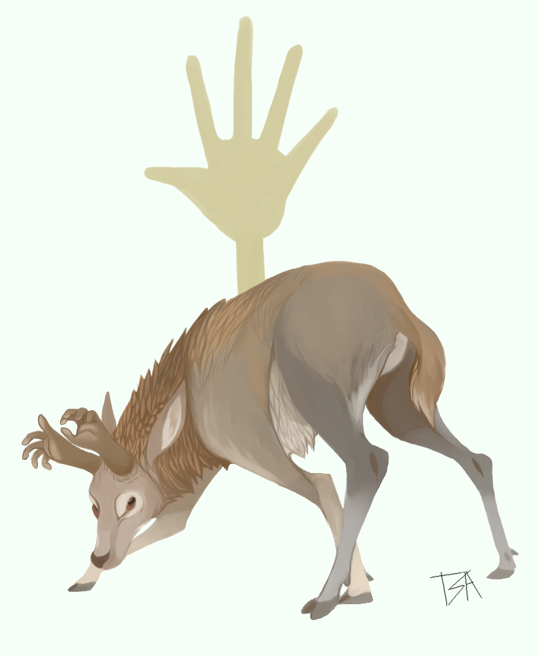 hand deer