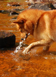 Waterplay!