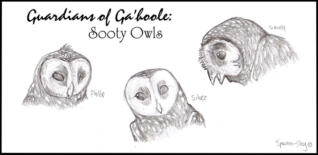 Sooty Owls of Ga'hoole