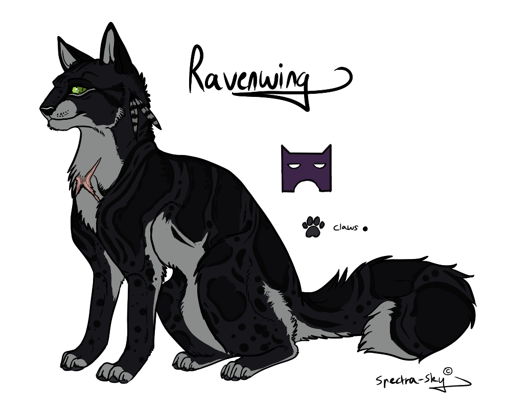 Warriors Cats - Ravenpaw by AnimalLover4Ever on DeviantArt