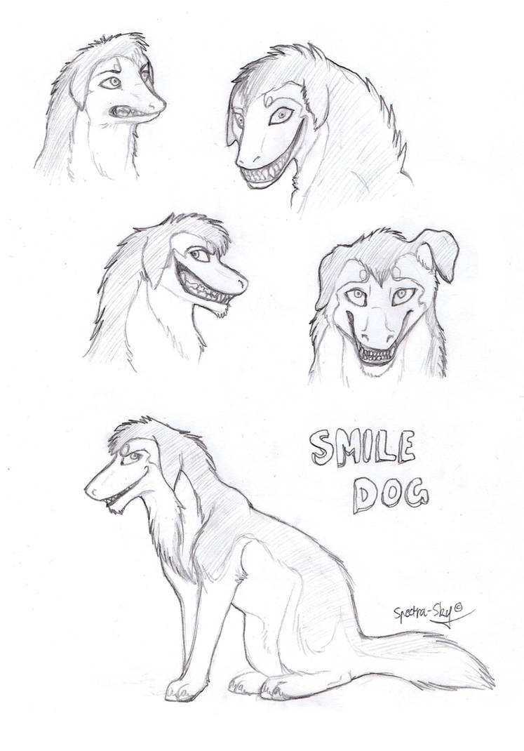 Smile Dog Sketches By SilentXSpectre On DeviantArt smile-dog-sketches-by-silentxspectre-on-deviantart