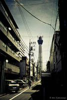 Tokyo Sky tree