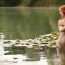 Ginger and Water Lily