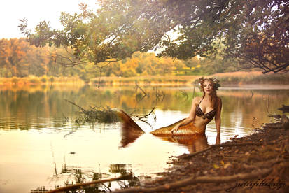 Fall's golden colours : the mermaid