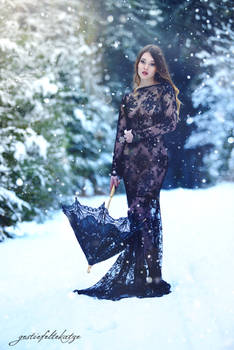 Lace and Snow