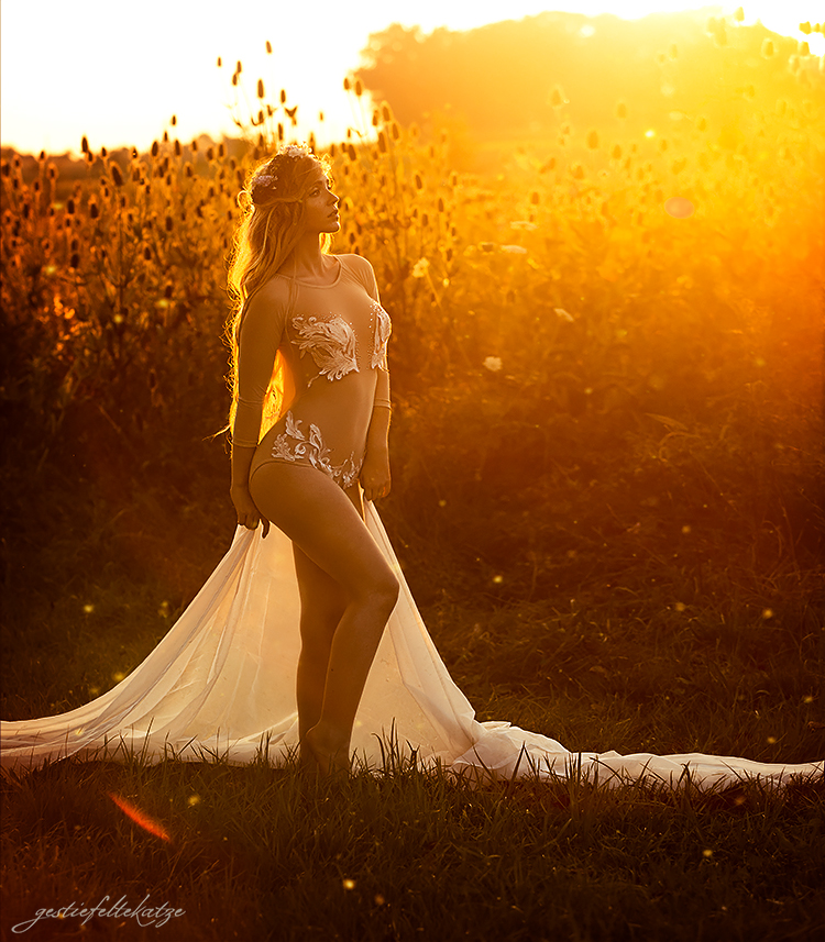 The golden fairy at sunset