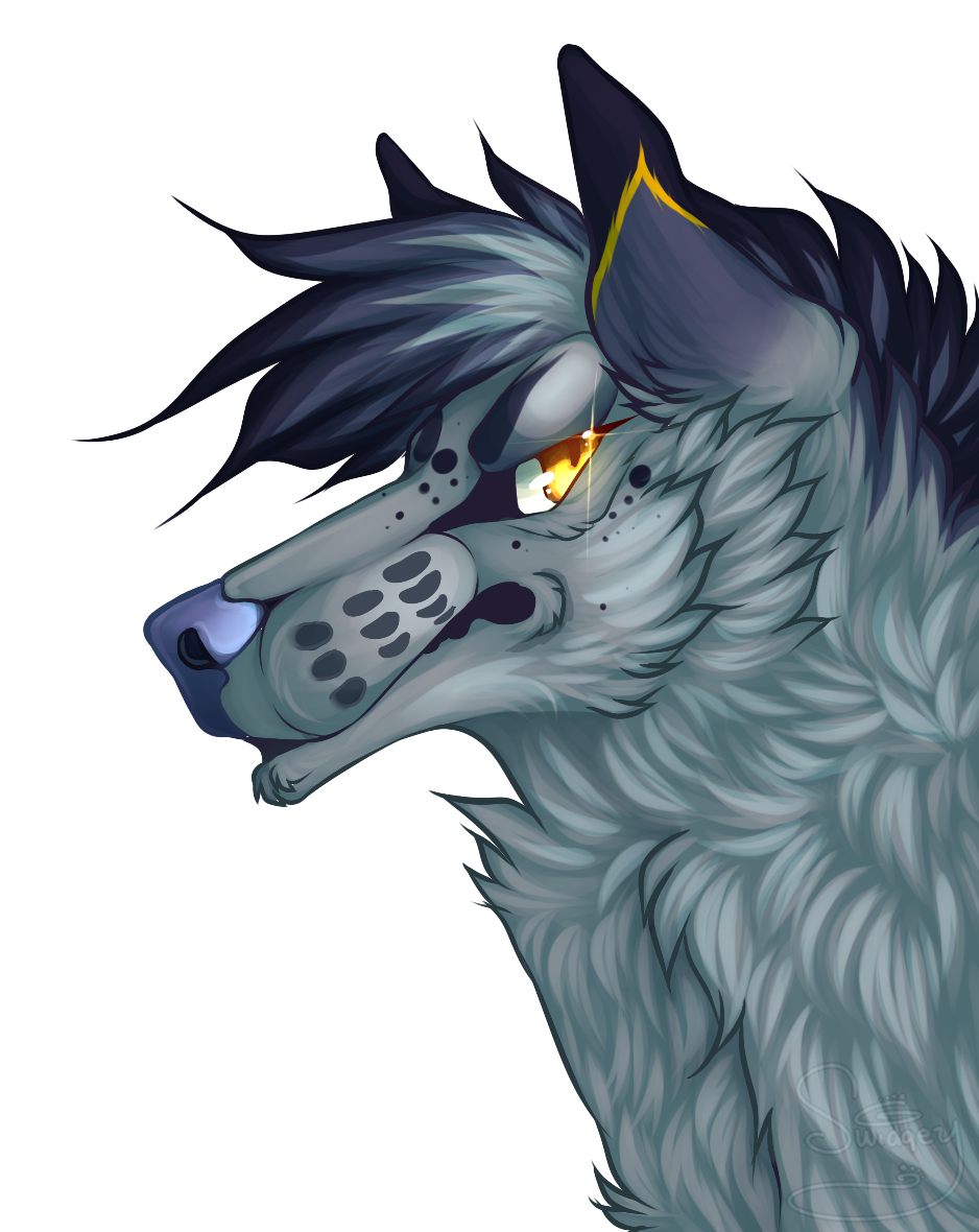 Jexx by Swidgey on DeviantArt