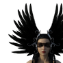 Raven 1a