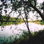 Lake Solano 2