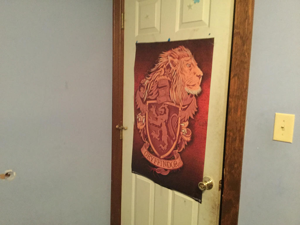 My Gryffindor poster