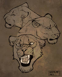 Lionesses