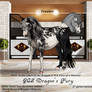 GCS Dragon's Fury - Traaker