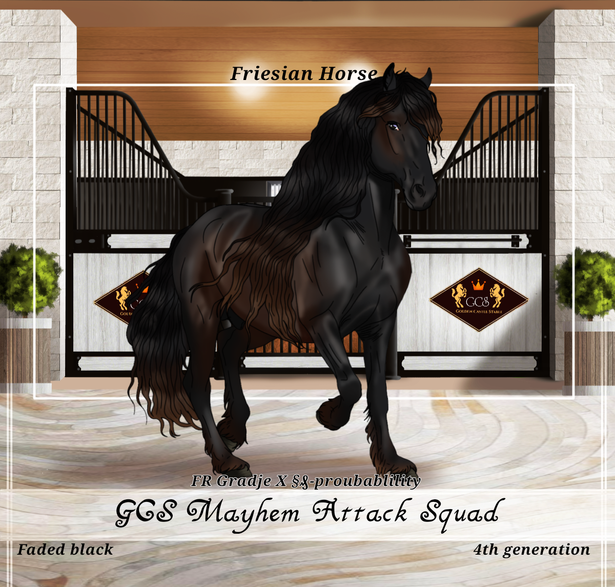 GCS Mayhem Attack Squad - Friesian horse