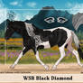 WSR Black Diamond - Mare