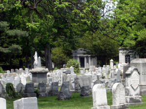 Cemetery Spring Stock