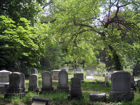 Cemetery Spring Stock One