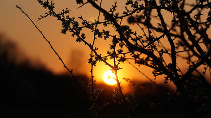 Sunset Wolfsburg