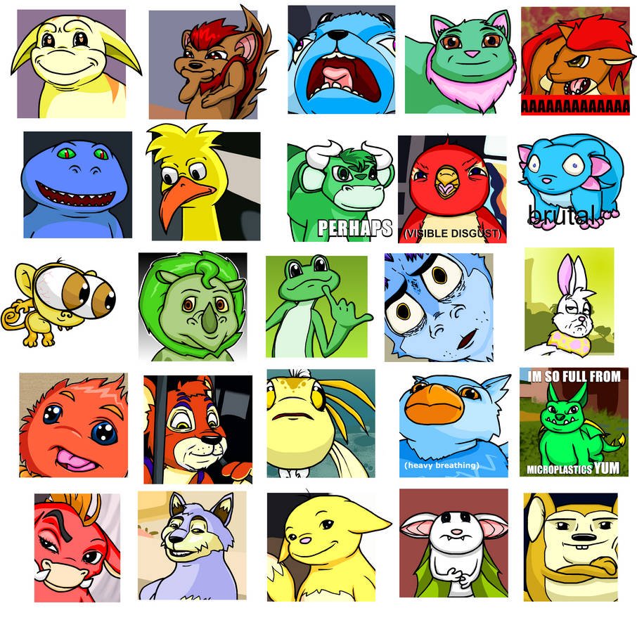 Neopets Pfp Neopets Memes, pt. 1 by eternalsailorchaos on DeviantArt