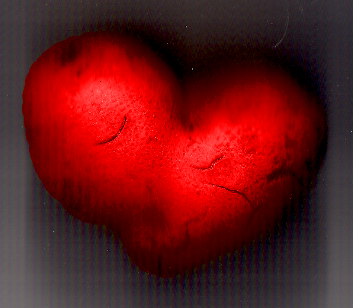 I've scanned my hearth for you