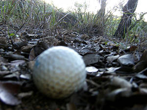 gray golf ball thing