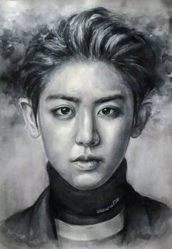 Park Chan Yeol