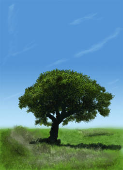 1hour tree painting