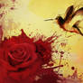 Hummingbird Rose