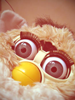 Staring Furby