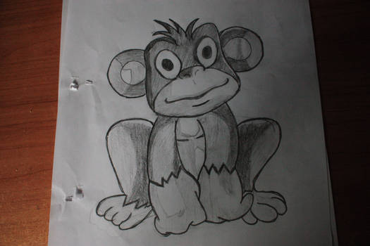 a monkey