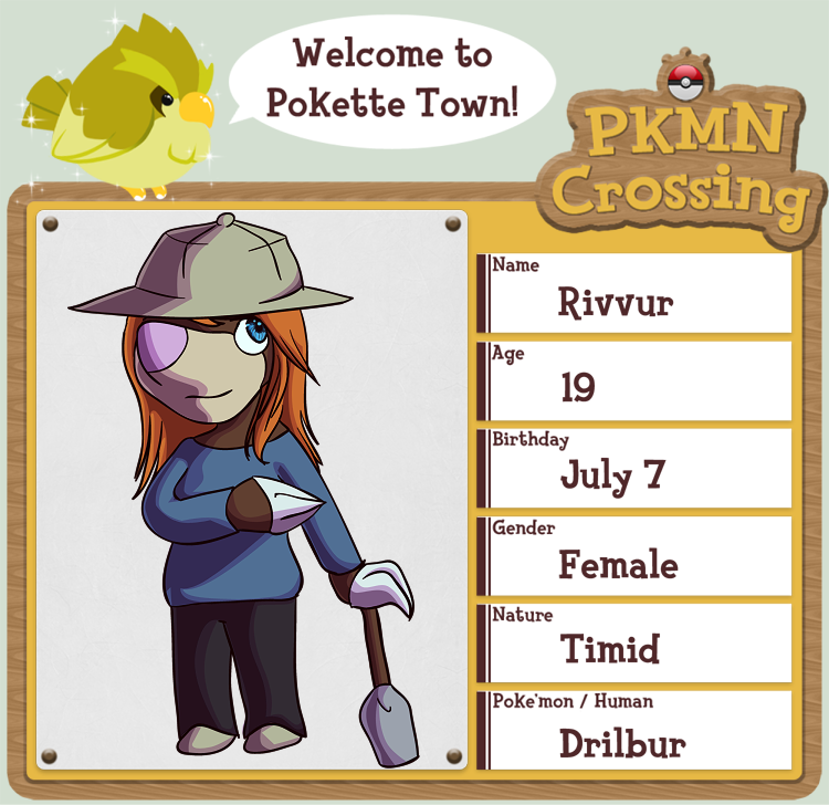 PKMN Crossing Application