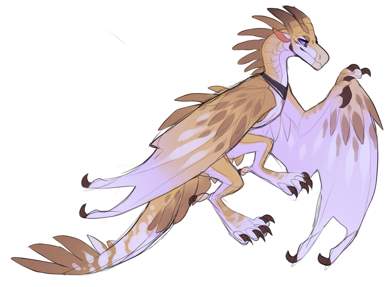 Spookapi Know Goshawk by Spookapi on DeviantArt