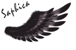 Tribal Wings