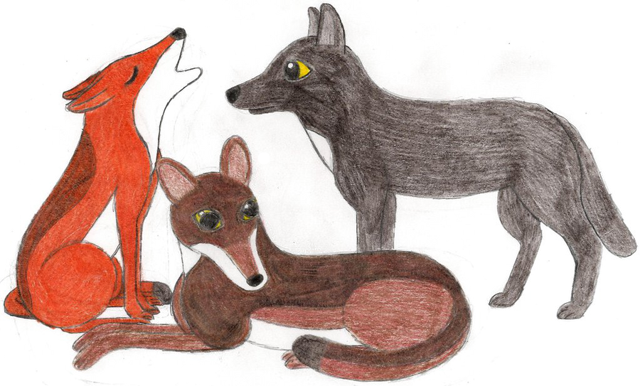 Canis rufus by RainforestWolf on DeviantArt