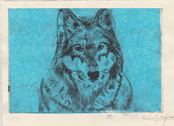 Blue Wolf