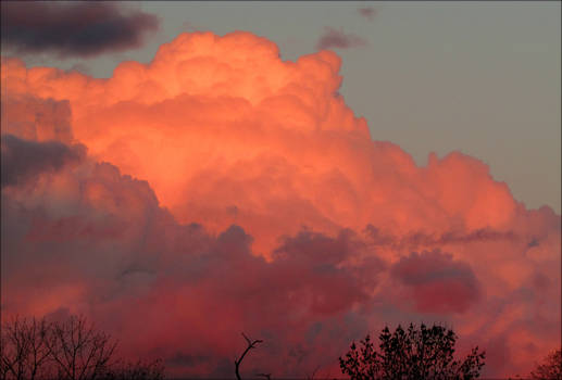 Cotton Candy Clouds