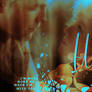 Water for Elephants : Signature