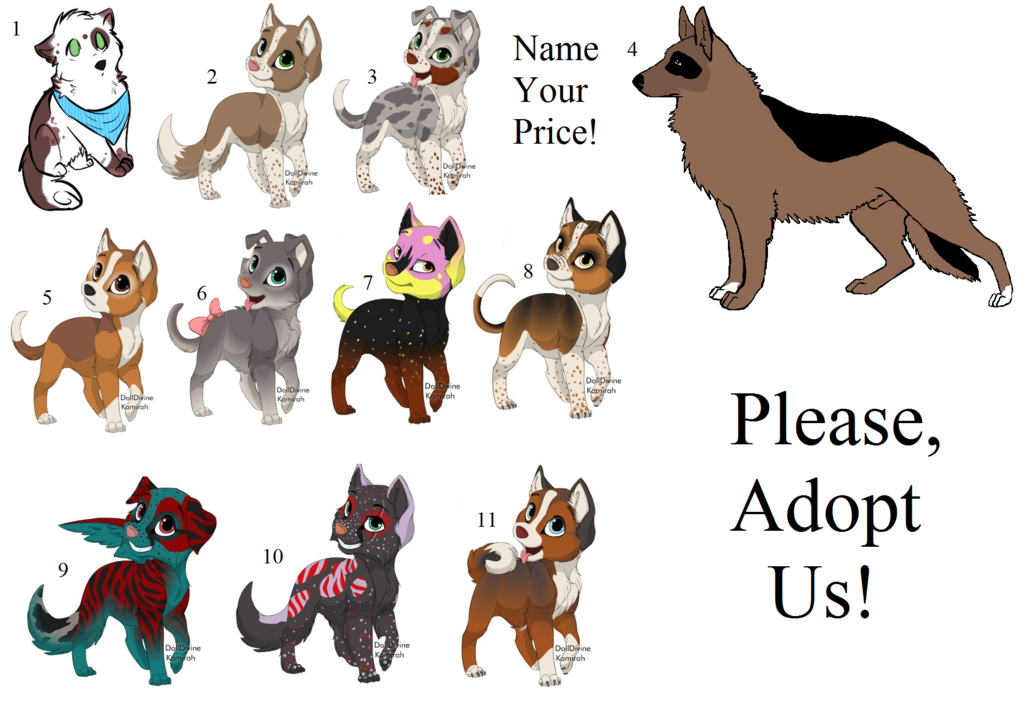 Name Your Price Adopts