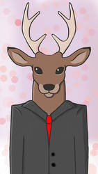 Mr. Deer