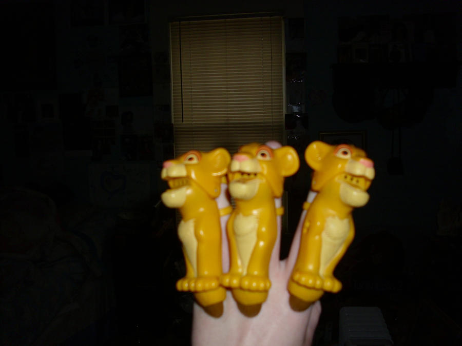 my simba rings by filmcity on DeviantArt