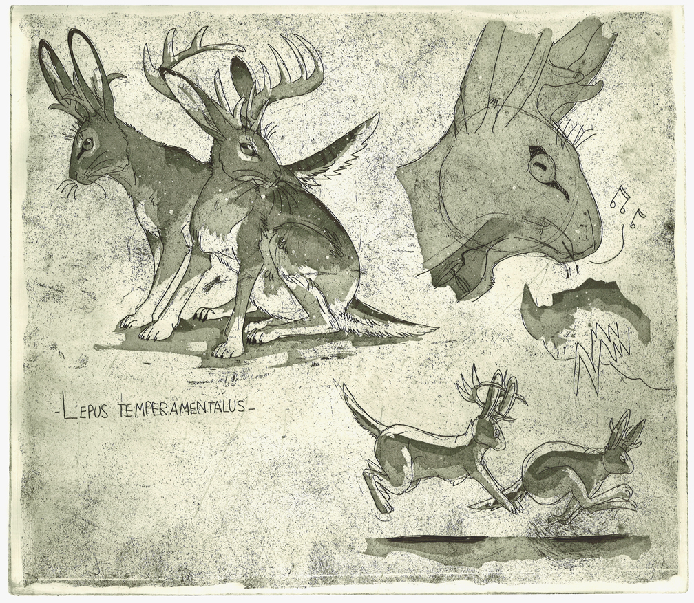 Jackalope Study