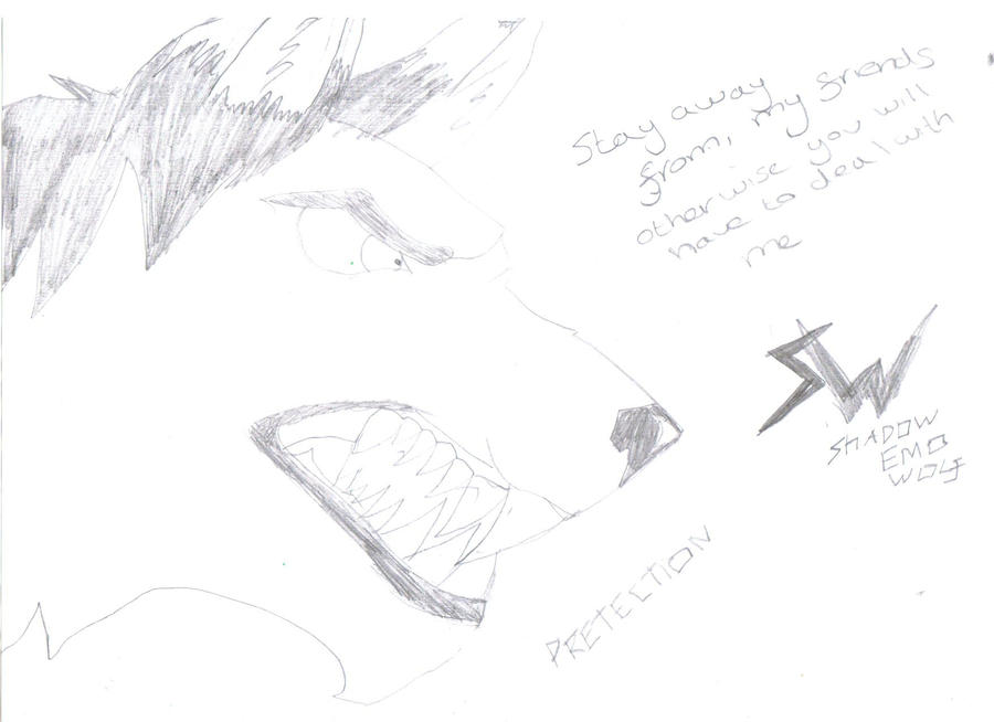 angry shadow by ShadowEMOWolf on DeviantArt