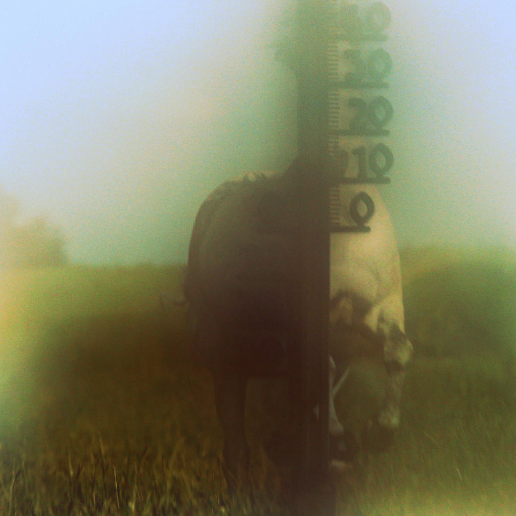 horse power