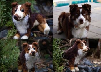 Needle felted Aussie