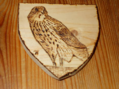 Hawk~Pyrography