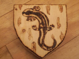 Salamander~Pyrography