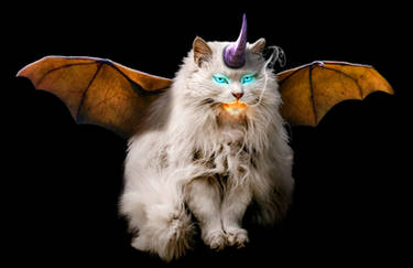 The Caticorgon (Cat/Unicorn/Dragon)